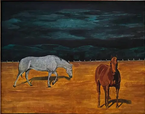 Montana Horses
