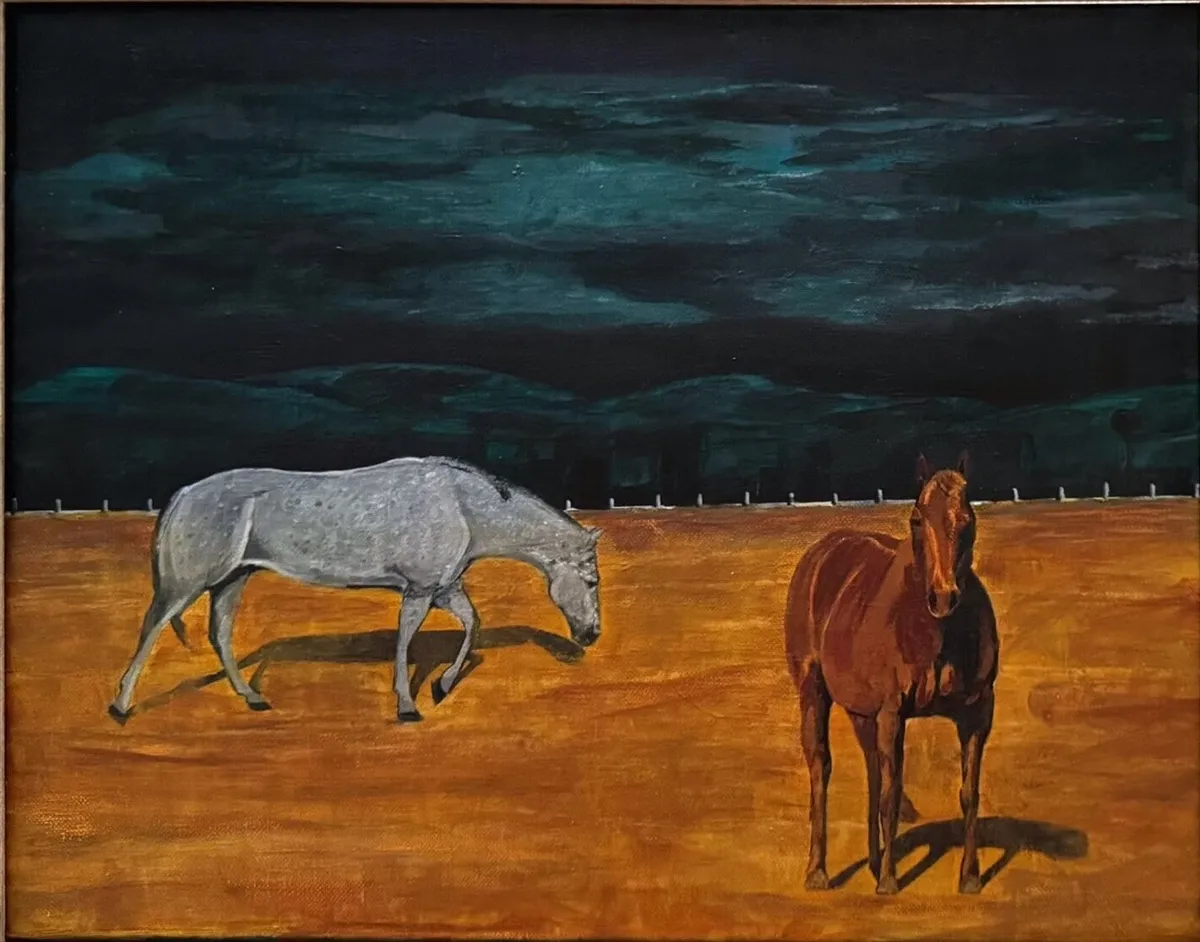 Montana Horses