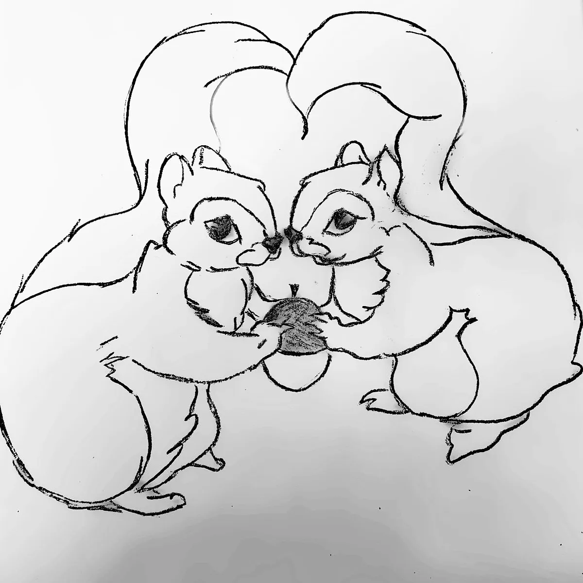 Squirrelly love sketch